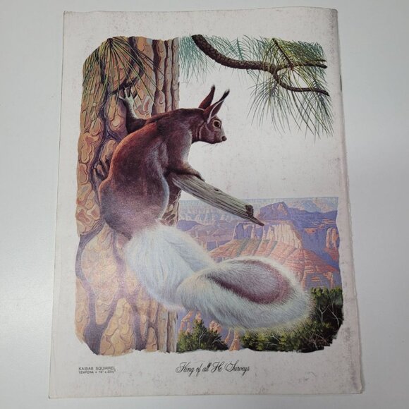 Arizona Highways Artwork Magazine February 1976 Larry Toschik Bobcat Deer Fawn - Picture 11 of 11